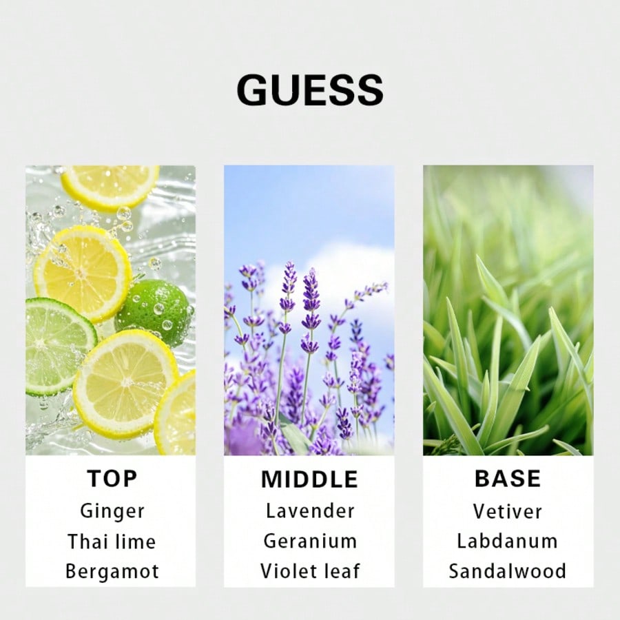 Guess Forever men Eau De Toile - You Perfume Fragrance review and price